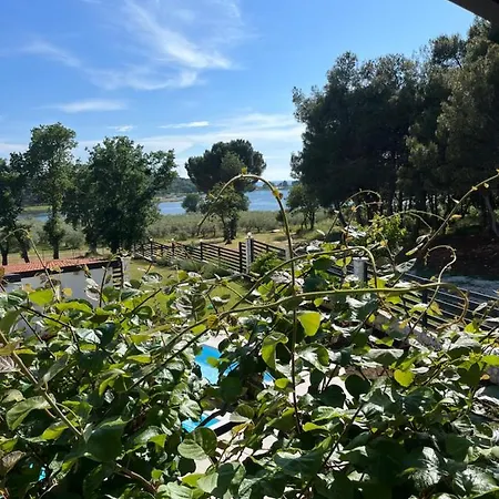 Apartment Stancija Rosa - Porec